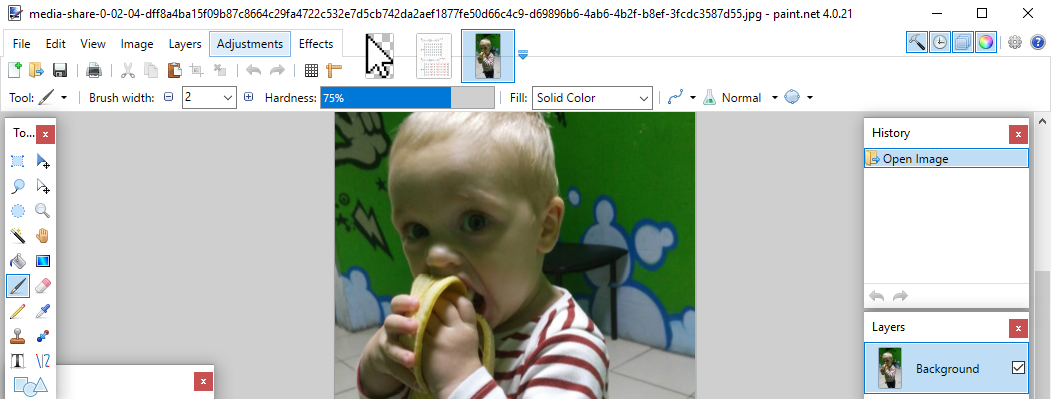 pages_paintnet.PNG